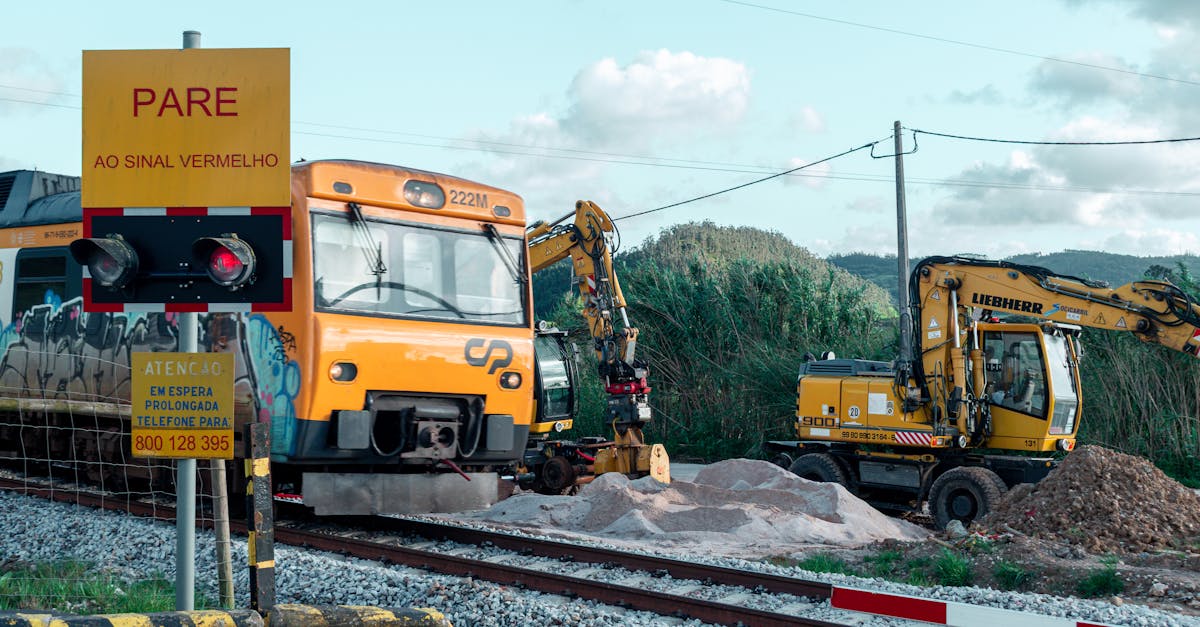 木盒蓝沉香（细）：乐清代理工商注册程序