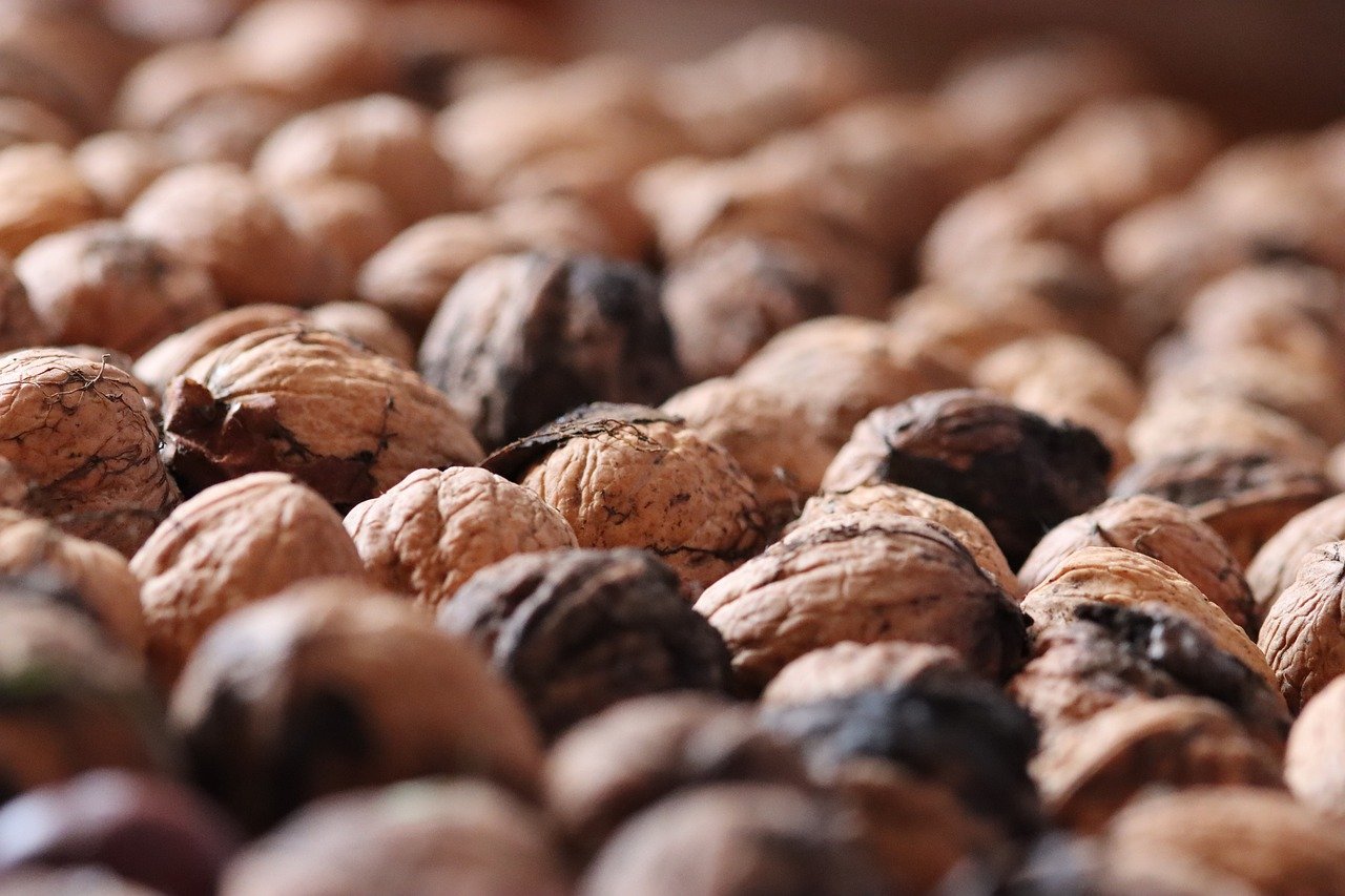 DDOS attack|代理公司注册收费表