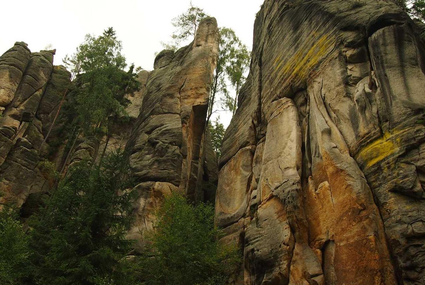 宝格企业营销中的市场调查和产品差异化策略