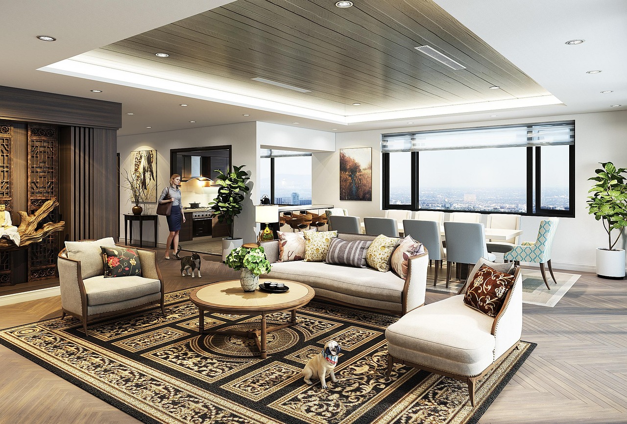 罗密欧1号(15支)(5盒):注册代理公司什么流程