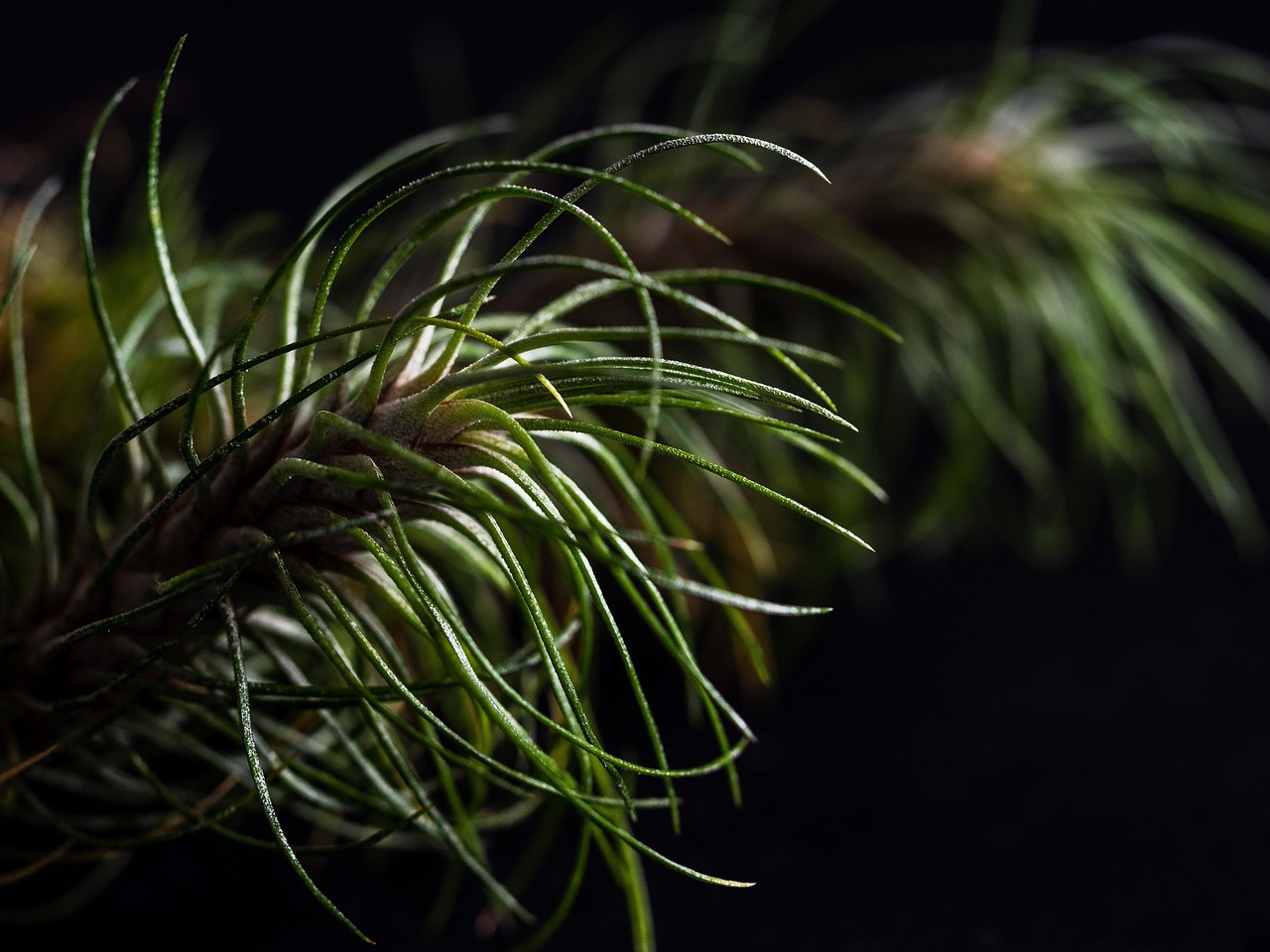 荣耀app详情下载教程