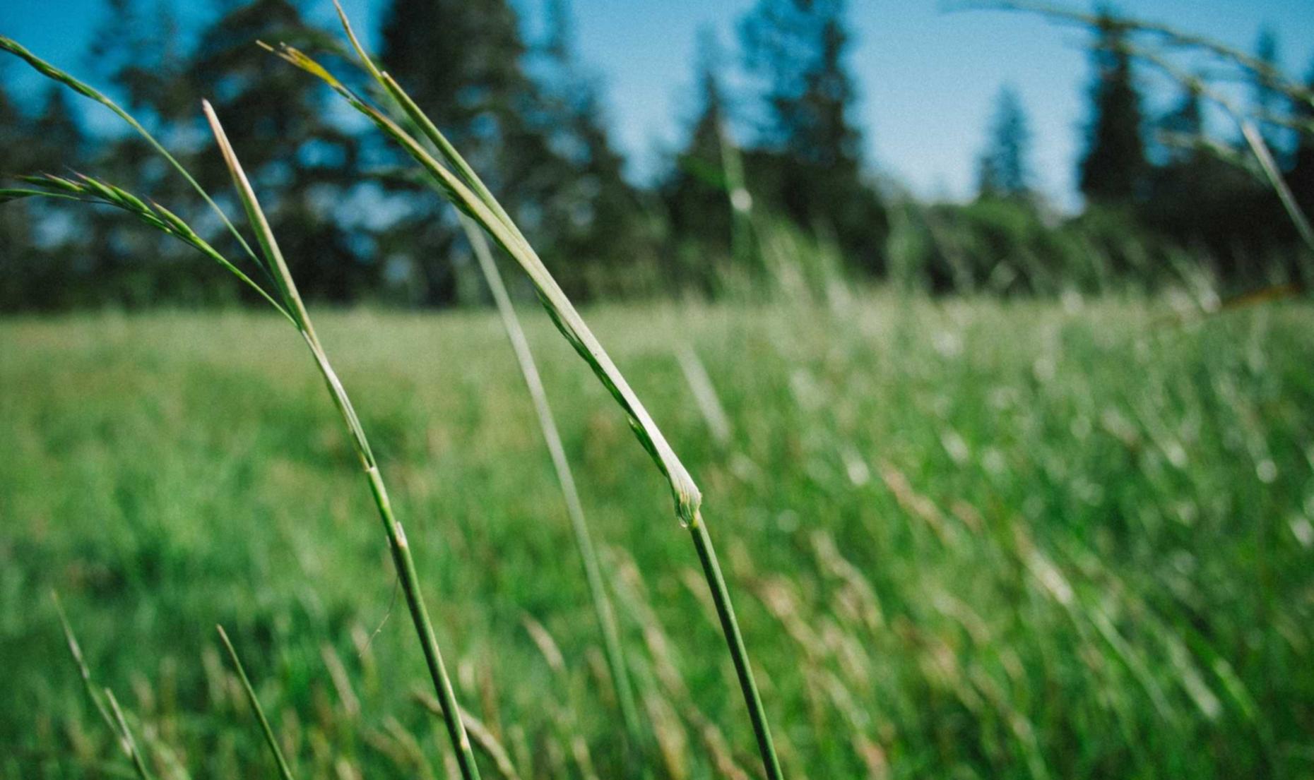 和天下交易开户的正规平台
